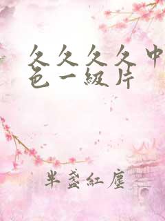 久久久久中国黄色一级片