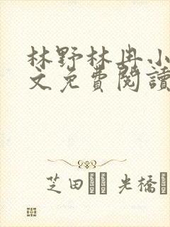 林野林冉小说全文免费阅读最新章节