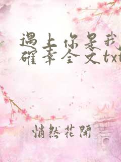 遇上你是我的小确幸全文txt下载