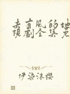 去有风的地方电视剧全集免费