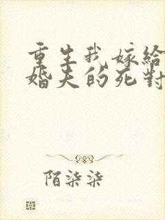 重生我嫁给了未婚夫的死对头