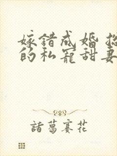 嫁错成婚 总裁的私宠甜妻