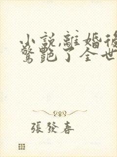 小说,离婚后她惊艳了全世界