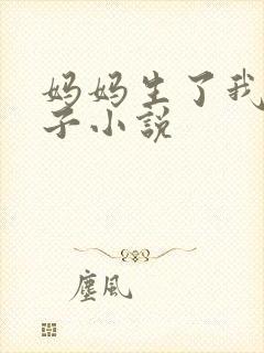 妈妈生了我的孩子小说