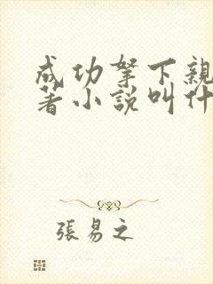 成功拿下亲妈原著小说叫什么名字