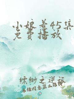 小娘惹45集全免费播放