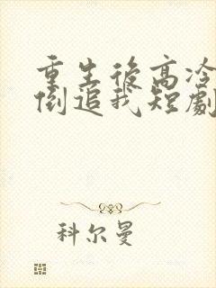 重生后高冷妻子倒追我短剧免费观看