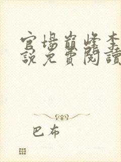 官场巅峰李霖小说免费阅读