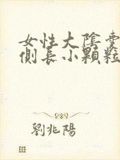 女性大阴囊唇内侧长小颗粒