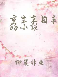 重生末日来临前的小说