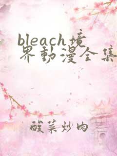 bleach境界动漫全集免费观看全集