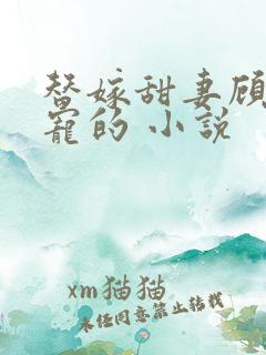 替嫁甜妻顾少超宠的 小说