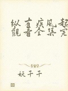 纵有疾风起免费观看全集完整版