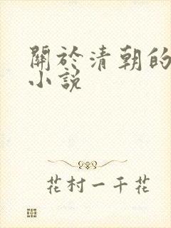 关于清朝的穿越小说