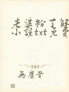 老婆粉了解一下小说txt免费