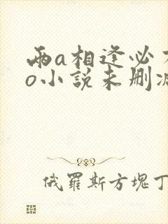 两a相逢必有一o小说未删减版