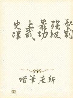 史上最强赘婿沈浪武功级别