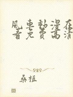 风车动漫在线观看免费高清完整版