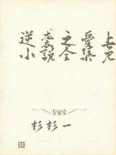 逆袭之爱上情敌小说全集免费下载