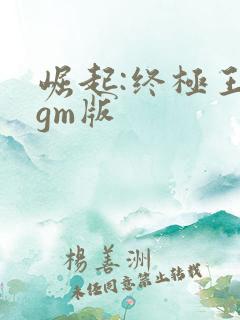 崛起:终极王者gm版