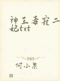 神王毒宠二嫁王妃txt