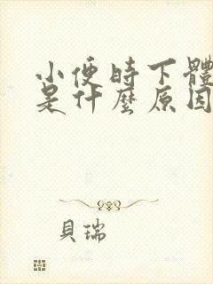 小便时下体刺痛是什么原因