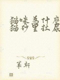 猫咪为什么不在猫砂里拉尿