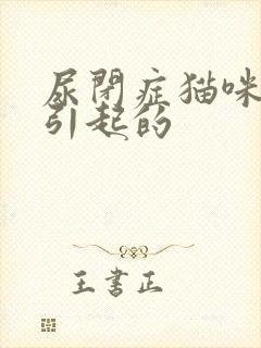 尿闭症猫咪怎么引起的