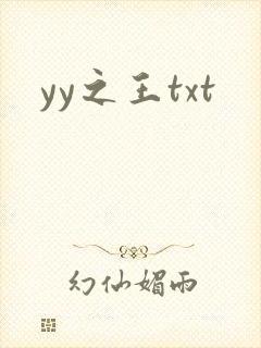yy之王txt
