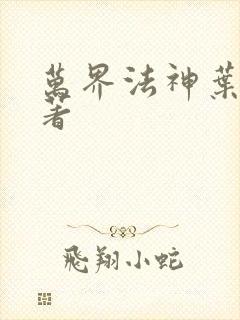 万界法神叶玄原著