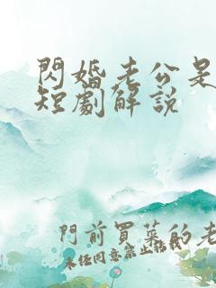 闪婚老公是总裁短剧解说