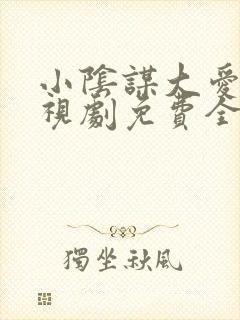 小阴谋大爱情电视剧免费全集在线看