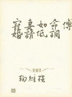 宠妻如命傅少隐婚请低调