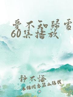 爱不知归处短剧60集播放