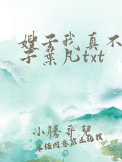 嫂子我真不是傻子叶凡txt