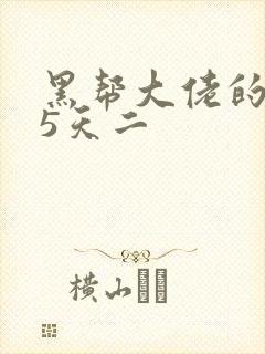 黑帮大佬的365天二