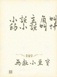 小说主角叫楚枫的小说叫什么名字