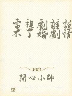 电视剧谁说我结不了婚剧情介绍