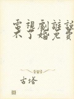 电视剧谁说我结不了婚免费观看完整版