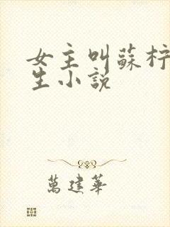 女主叫苏柠的重生小说