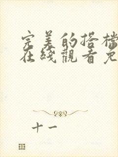 完美的搭档电影在线观看免费