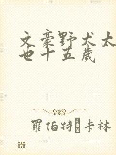 文豪野犬太宰中也十五岁