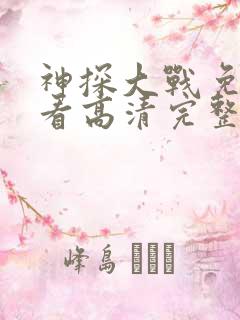 神探大战免费观看高清完整