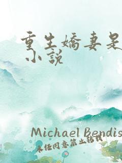 重生娇妻是大佬 小说