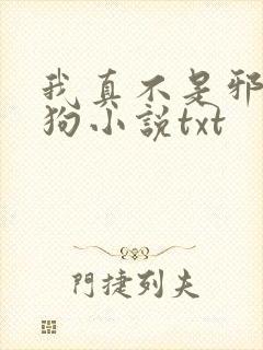 我真不是邪神走狗小说txt