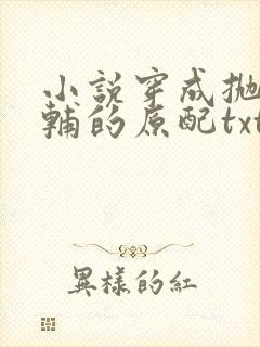 小说穿成抛弃首辅的原配txt下载