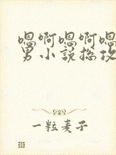 嗯啊嗯啊嗯啊男男小说总攻