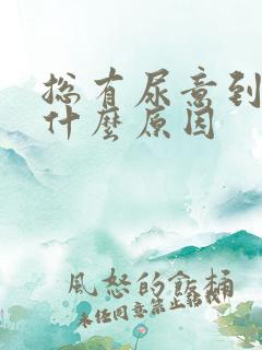 总有尿意到底是什么原因