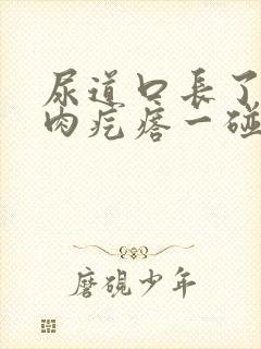 尿道口长了个小肉疙瘩一碰就疼