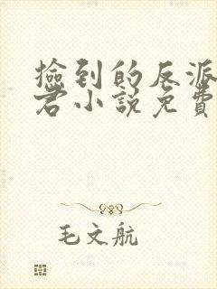 捡到的反派成夫君小说免费阅读